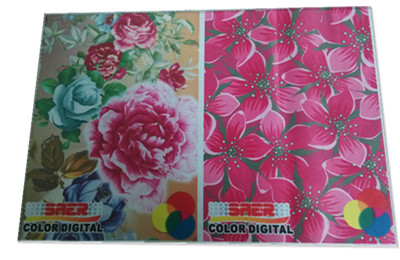 Рекламировать принтер головки Epson краски для печатания ткани цифров 1