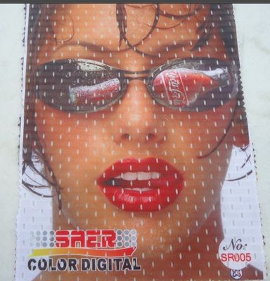 CSR 3200 Saer машины принтера флага Сингапура печатной машины большого формата