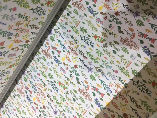 110V / автоматическая система печатания ткани 220В/струйная печатная машина ткани